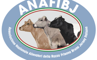 L’ANAFIBJ crea innovazione